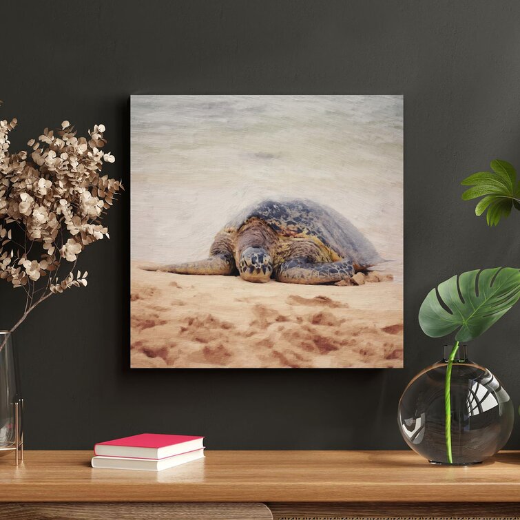 Brown Turtle On Seashore 1 - 1 Piece Square Graphic Art Print On Wrapped Canvas