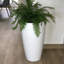 Pot à fleurs rond écologique ECOBO, utilisation intérieure / extérieure Vicenza, utilisation quatre saisons-21502576-38361593