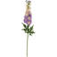 Delphinium Stem - 31 Inches Set Of 12