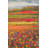 Glenarden Washable Floral Indoor Rug-1777295455
