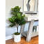 Organic Modern 4' Faux Fiddle Leaf Tree