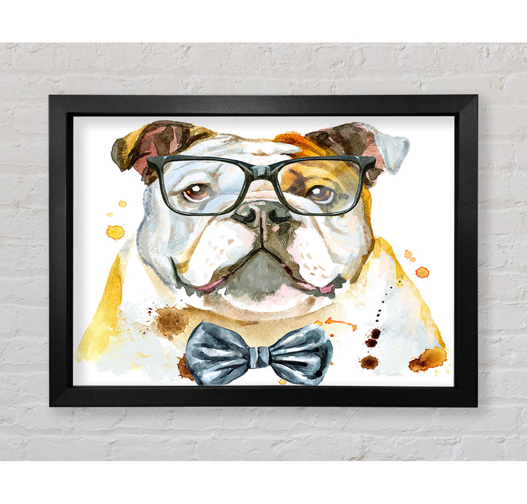 Die Bulldogge mit Brille Gerahmter Druck