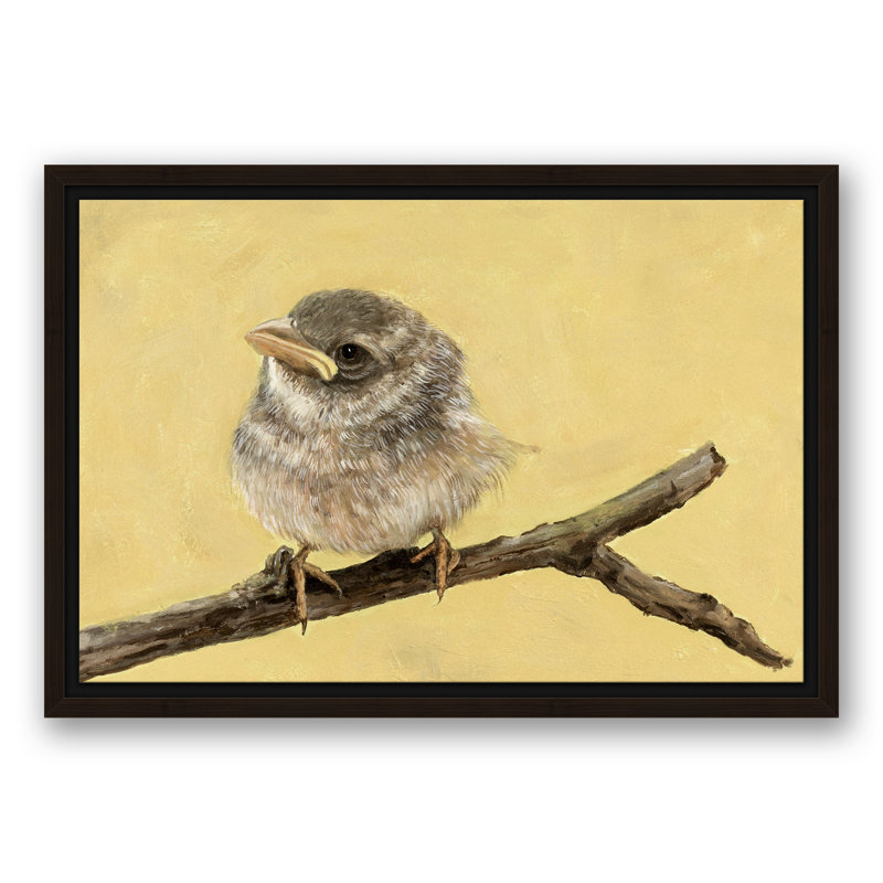 Petit oiseau - reproduction sur toile tendue, H 12 po x l 18 po, Encadré