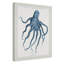 Atlantic Marine Museum Octopus I - impression-60385531-60385532