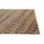 4x6 Peter Multi Rug