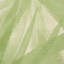 Sunlit Palm Sisal Wallpaper