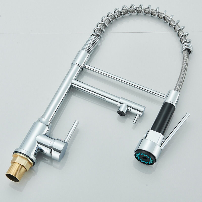 Belfry Kitchen Valdez Pull Out Kitchen Faucet