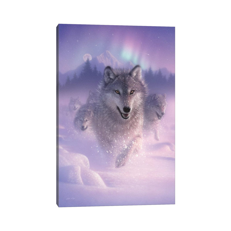 Éclairage du nord-wolves à courant vertical, H 26 po x l 18 po x P 1,5 po, Papier d'art encadré noir, Blanc