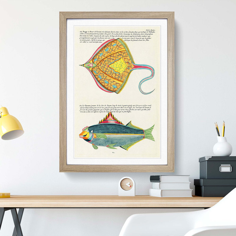East Indies Fish Illustrations XLIII by Louis Renard - Picture Frame Graphic Art Print, 65cm H x 48cm W x 2cm D, Oak Framed