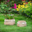 Ensemble de 2 pots à fleurs en ciment bruns 6,5 po x 6,5 po x 6 po