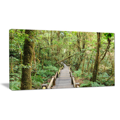 Walk Way in Deep Forest - Reproduction de photo sur toile tendue
