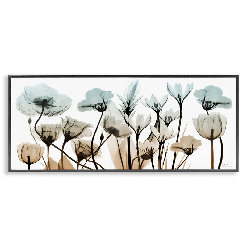 Fleurs mixtes de rayons X sur toile, Giclée encadrée noir minuit, H 13 po x l 30 po x P 1,5 po