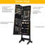 Amicon Wall Jewelry Armoire-1479674707