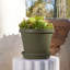 Pot à fleur intérieur / extérieur en plastique Terra-364854827-364854831