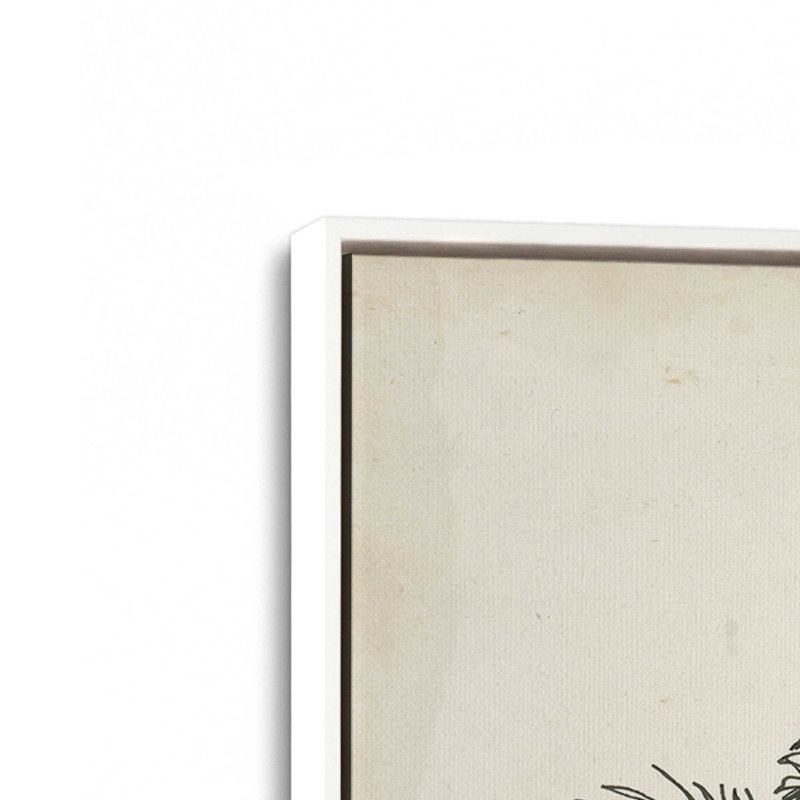 «Christmas Conifers I» par Ethan Harper, reproduction d'art sur toile, H 32 po x l 48 po, Blanc