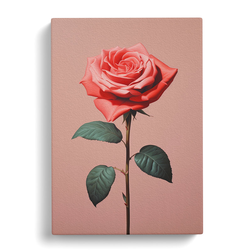 Rose Minimalism No.4 - Wrapped Canvas, 50cm H x 35cm W x 3cm D