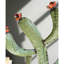 Ensemble de 2 sculptures en métal de cactus en fer recyclé H 26 po Kalalou