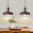 2-Light 13.8'' Kitchen Island Dome Pendant Light for Kitchen Barn Hallway Porch Dining Room-117432673