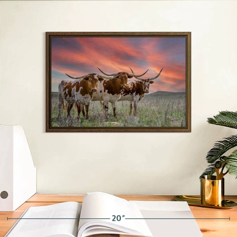 Trois Longhorns du Texas, 13 po x 9 po, Cadre flottant noyer