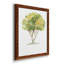 L'arbre I - ensemble de 4 reproductions d'art encadrées-1506622941-1506622940-1496819695