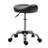 Wilkes-Barre Adjustable Height Lab Stool with Wheels