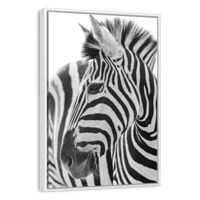 Kruger Zebra