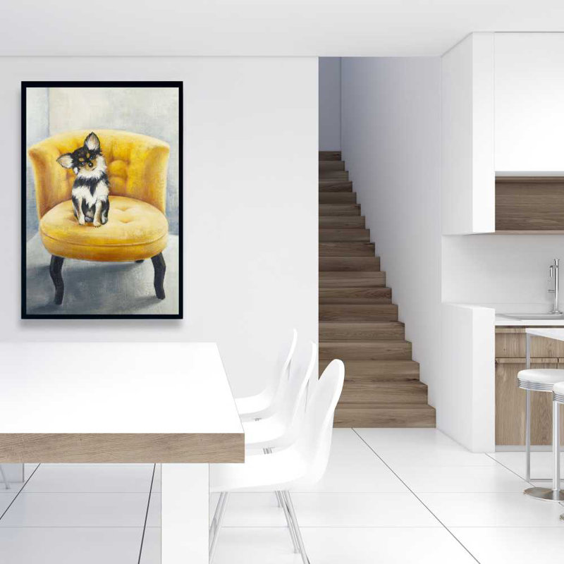 Chihuahua à poils longs | Décoration de chambre grise - Fauteuil jaune