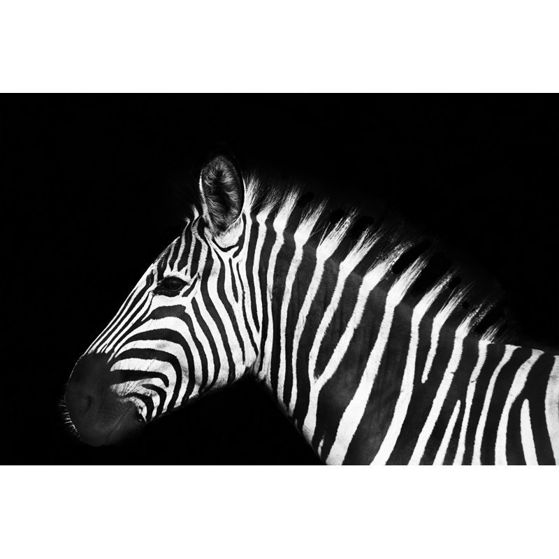 Black And White Zebra by Tunart - Wrapped Canvas Print, 51cm H x 76cm W x 3.8cm D