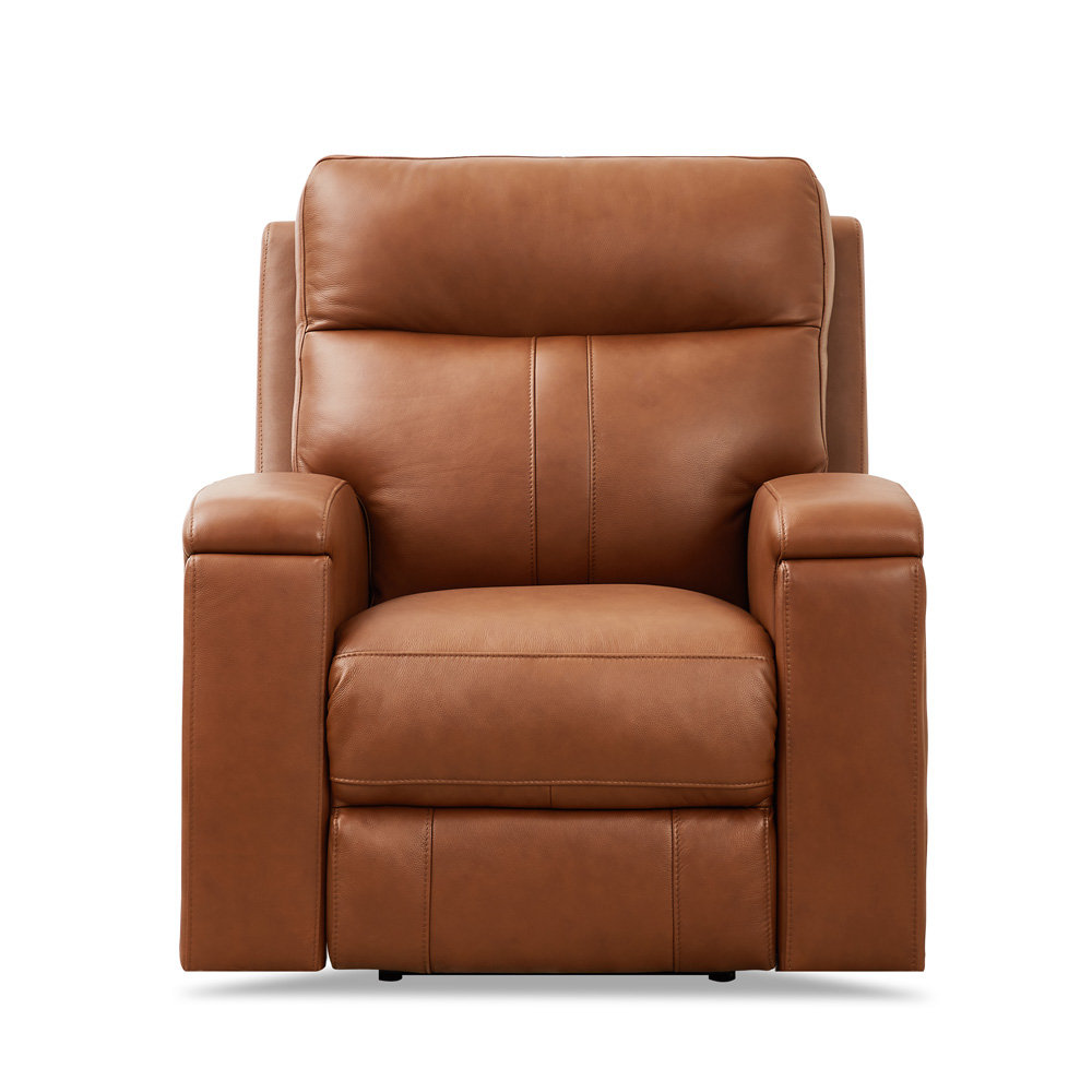 Diahanna Recliner Hokku Designs
