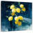 Yarlin Lemon Grove I