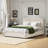 Brezzy Upholstered Storage Bed with Wingback-1856276996-1856277001