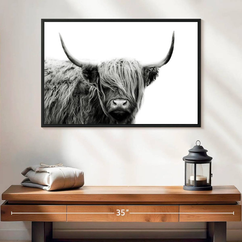 BW Highland Cow, 17" H x 25" W
