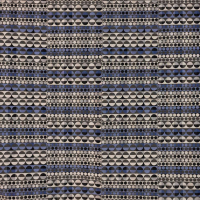 Suite Around in Circles Fabric