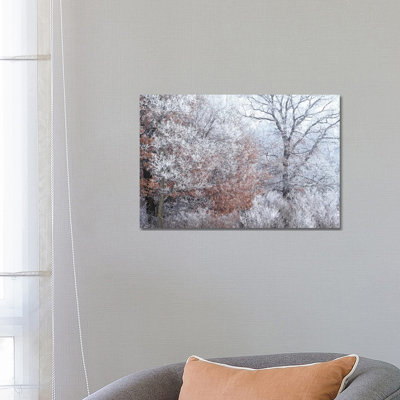 Rime Ice And Fog by Brian Wolf - Wrapped Canvas Print