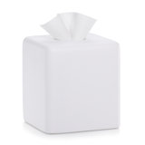 Domus White Matte Tissue Box Cover