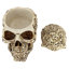 Boîte décorative sculpturale crâne skull soul