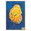 Life Aquatic 4 Print by PC Ngo-401012341-401012336