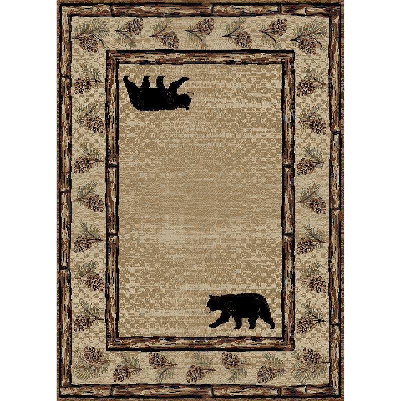 Ours brun, Rectangle 2 pi 3 po x 3 pi 3 po