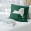 Coussin en lin nevada-1720385303-1720385299-1720380596