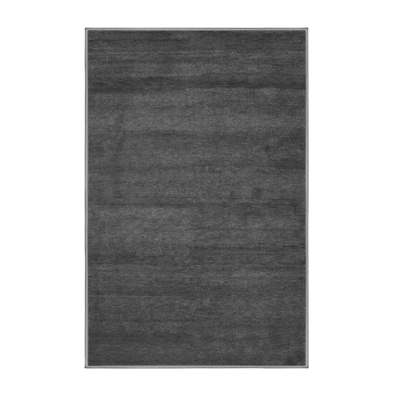 Lennards Performance Chenille Indoor Rug, Rectangle 2' x 4'