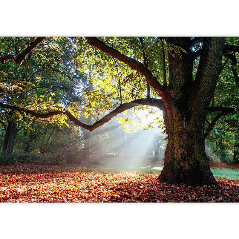 Forest Nature Landscape Peel & Stick Border, 100" L x 144" W