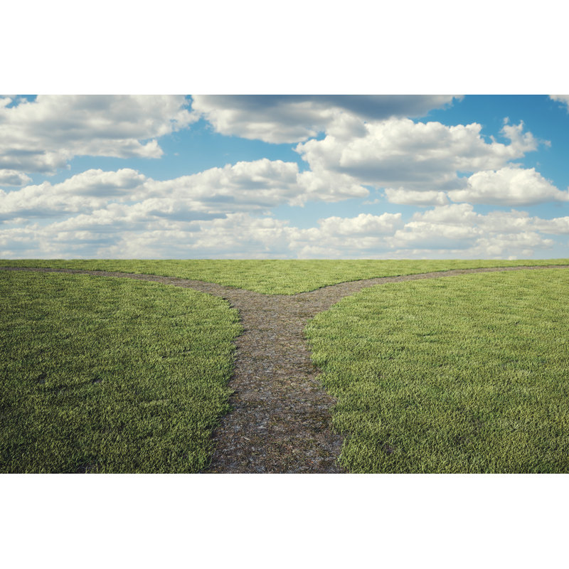 Pathway Intersection by Gremlin, 12" H x 18" W