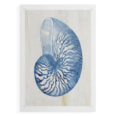 Coquille IV - Impression sur toile seulement - NON-CADRE