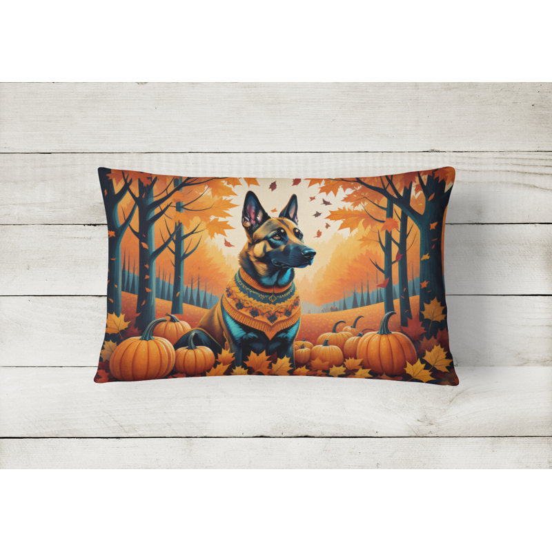  Coussin décoratif intérieur / extérieur en polyester Autre / Sans motif, Rectangulaire 12 po x 16 po