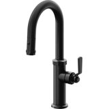 Pull-Down Prep/Bar Faucet With Button Sprayer