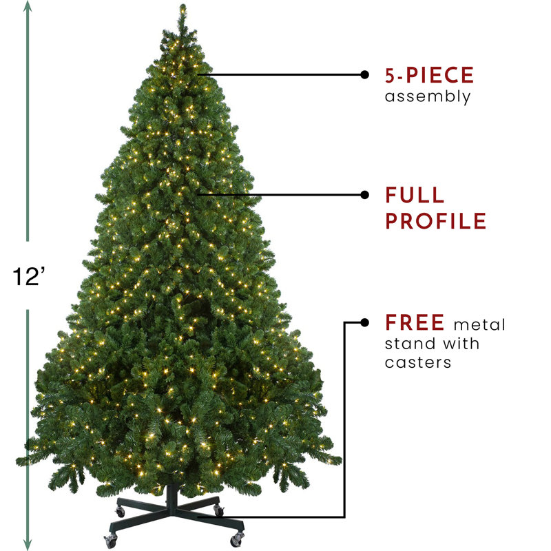 Pre-Lit Full Olympia Pine Artificial Christmas Tree With Clear/White Lights, 12'