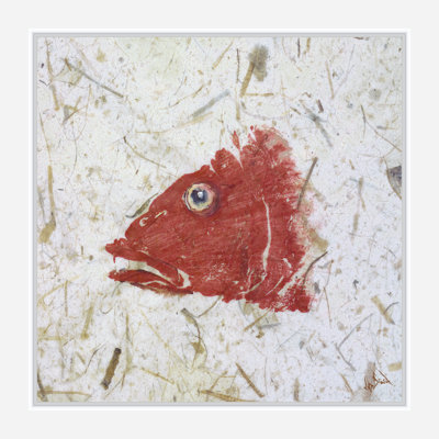 Snapper Red Print by John Beard