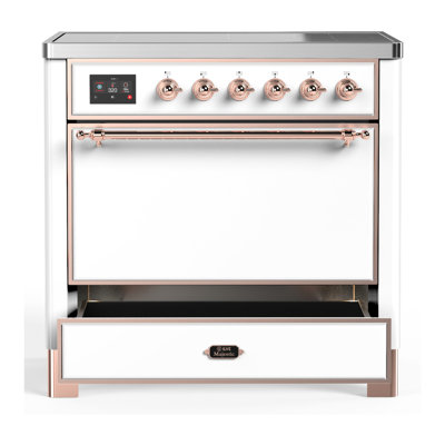 Majestic III Series 36 Inch Induction Range with 6 Induction Elements in Matte Graphite (Chrome Trim)