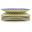 Stoneware Dinner Plate