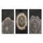 Spiral Black Rift on Wood Slide - Grey Trees, ensemble de 3 reproductions sur toile encadrées-129013356-129013357